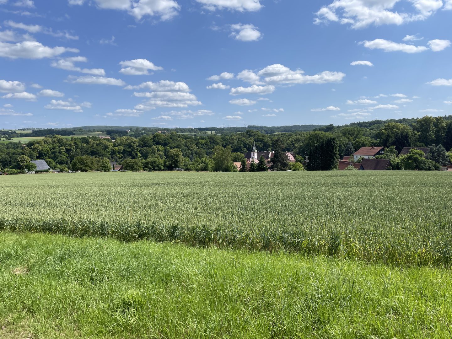 1. Tag- Kloster St. Marienthal